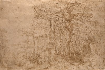Paysage sylvestre avec cinq ours - Pieter Bruegel the Elder